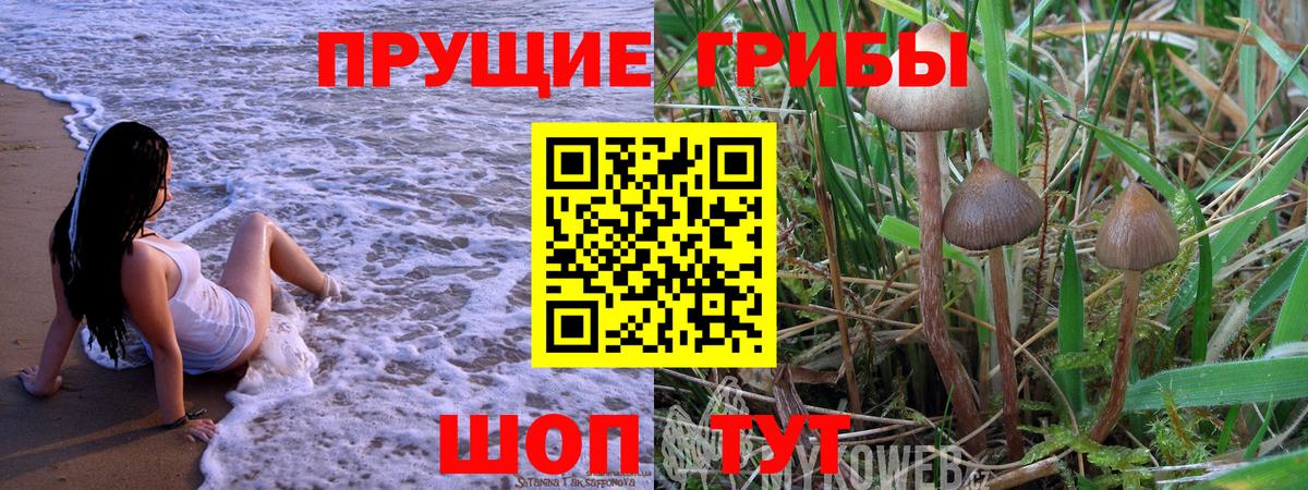 Усть-Джегута  Псилоцибиновые грибы MAGIC MUSHROOMS  Вход с VPN 